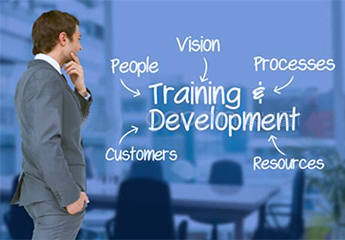 Training development